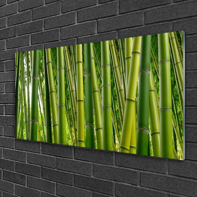 Glass Wall Art Bamboo stalks floral green