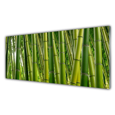 Glass Wall Art Bamboo stalks floral green