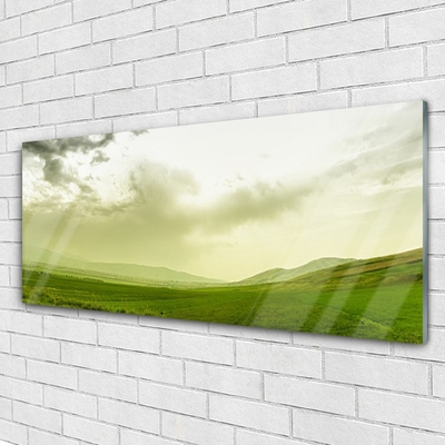 Glass Wall Art Meadow nature green