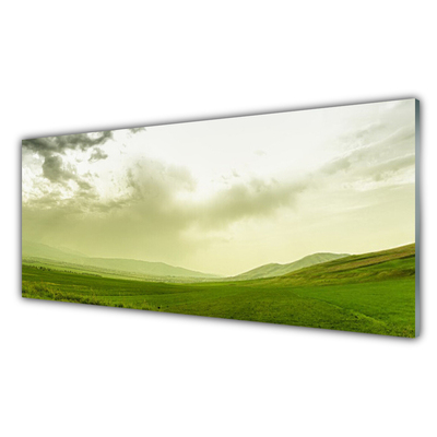 Glass Wall Art Meadow nature green