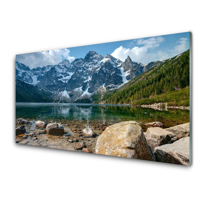 Glass Wall Art Mountain forest lake stones landscape grey green brown