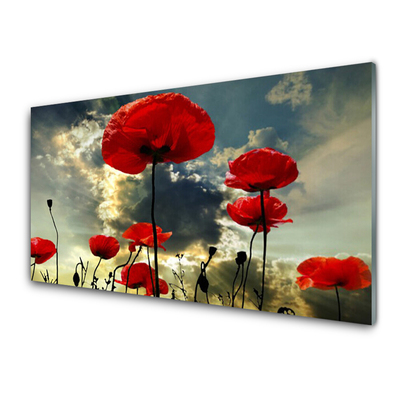 Glass Wall Art Poppies floral red