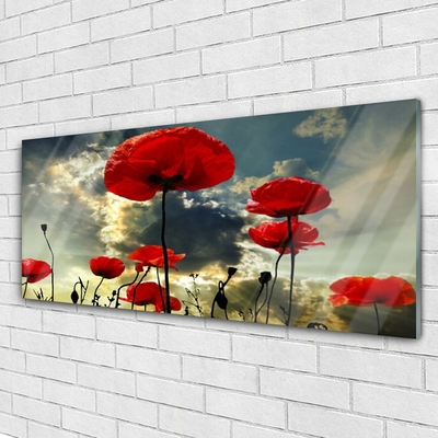 Glass Wall Art Poppies floral red