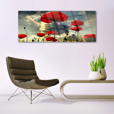 Glass Wall Art Poppies floral red