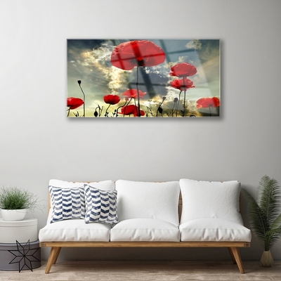 Glass Wall Art Poppies floral red