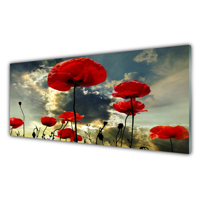 Glass Wall Art Poppies floral red