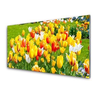 Glass Wall Art Tulips floral yellow red white