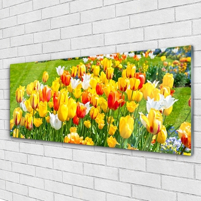 Glass Wall Art Tulips floral yellow red white