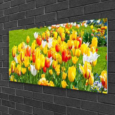 Glass Wall Art Tulips floral yellow red white