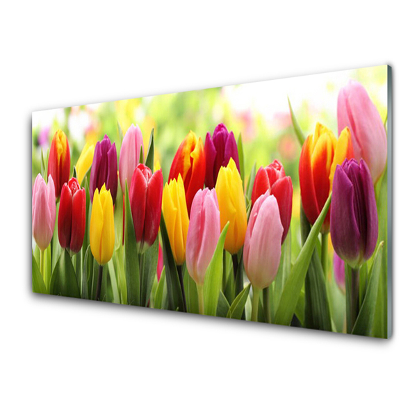 Glass Wall Art Tulips floral pink red yellow