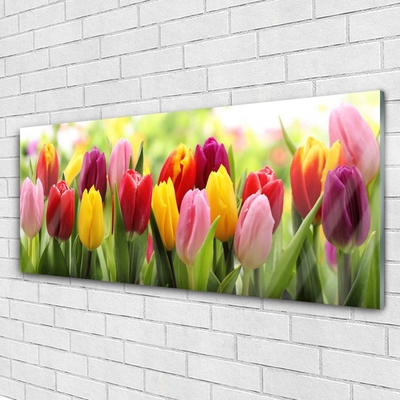 Glass Wall Art Tulips floral pink red yellow