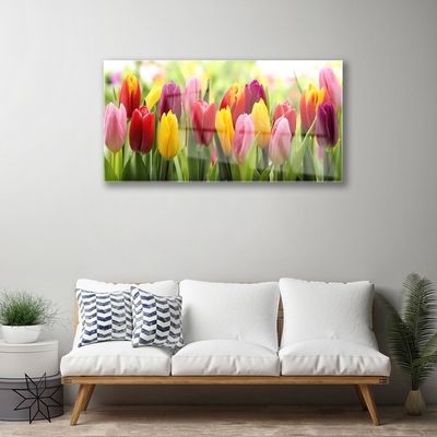 Glass Wall Art Tulips floral pink red yellow