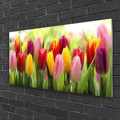 Glass Wall Art Tulips floral pink red yellow