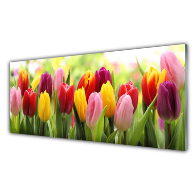 Glass Wall Art Tulips floral pink red yellow