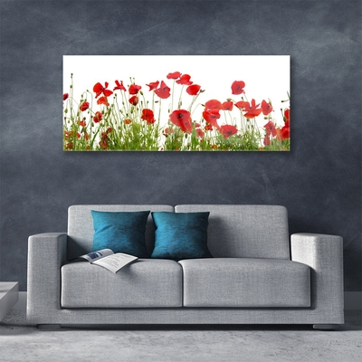 Glass Wall Art Poppies floral red green