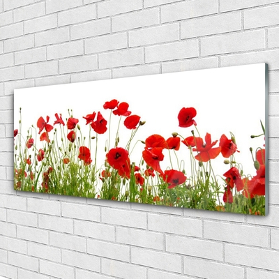 Glass Wall Art Poppies floral red green