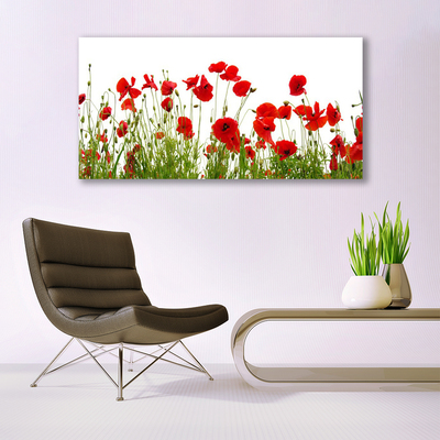 Glass Wall Art Poppies floral red green