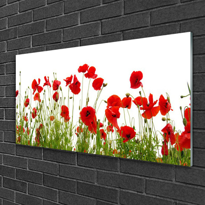 Glass Wall Art Poppies floral red green