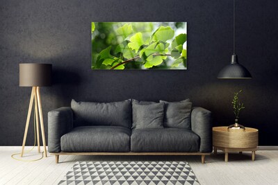 Glass Wall Art Branch leaves floral brown green