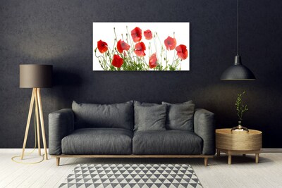 Glass Wall Art Poppies floral green red