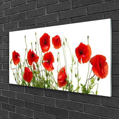 Glass Wall Art Poppies floral green red