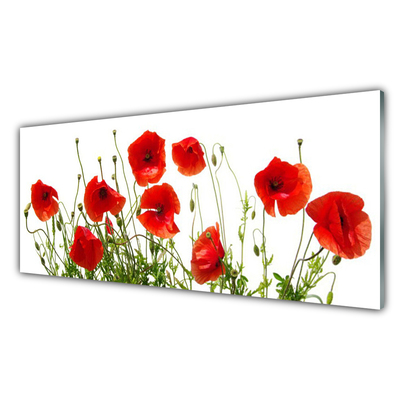 Glass Wall Art Poppies floral green red