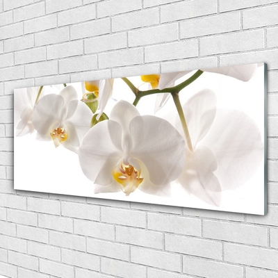 Glass Wall Art Flowers floral white