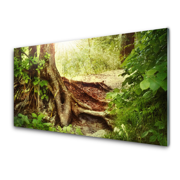 Glass Wall Art Tree trunk nature brown green