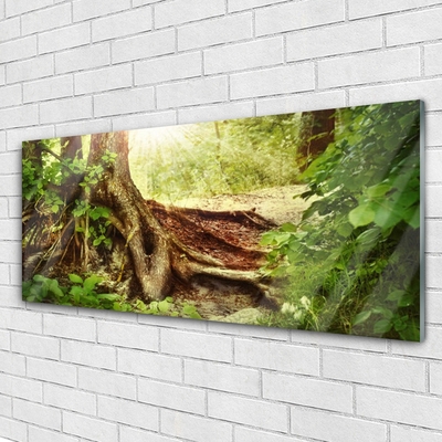 Glass Wall Art Tree trunk nature brown green