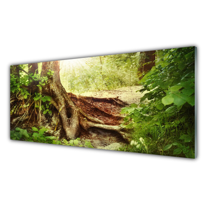 Glass Wall Art Tree trunk nature brown green