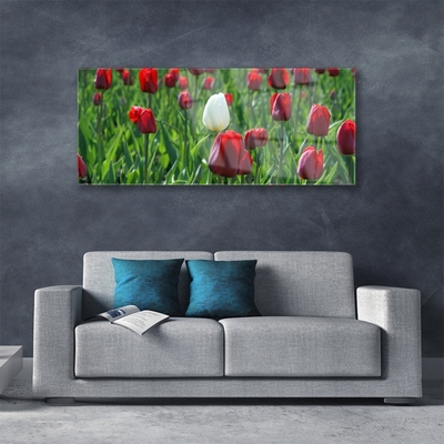 Glass Wall Art Tulips floral red white green