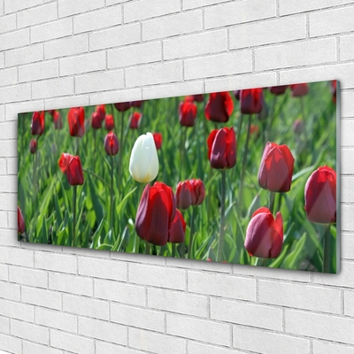 Glass Wall Art Tulips floral red white green