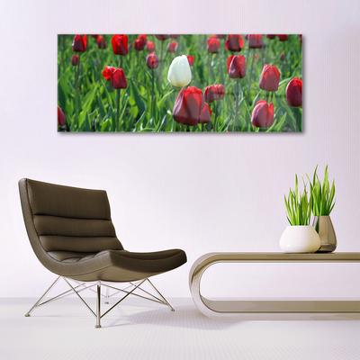 Glass Wall Art Tulips floral red white green