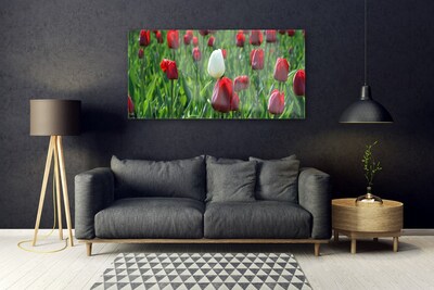 Glass Wall Art Tulips floral red white green