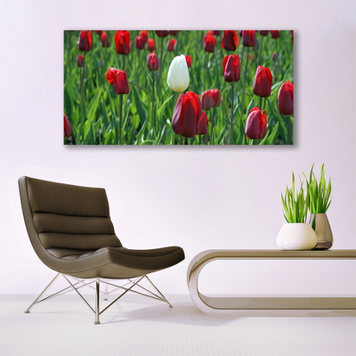 Glass Wall Art Tulips floral red white green