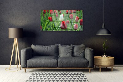 Glass Wall Art Tulips floral red white green