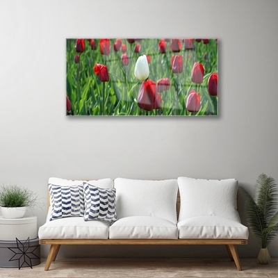 Glass Wall Art Tulips floral red white green