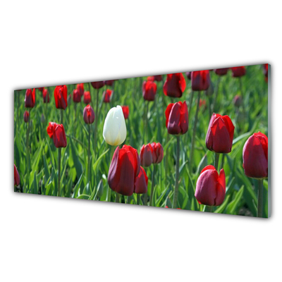 Glass Wall Art Tulips floral red white green