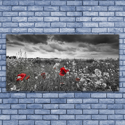 Glass Wall Art Meadow flowers nature grey red