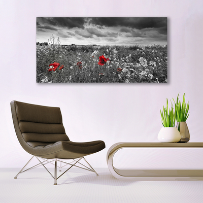 Glass Wall Art Meadow flowers nature grey red