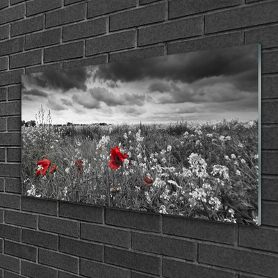 Glass Wall Art Meadow flowers nature grey red