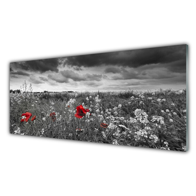 Glass Wall Art Meadow flowers nature grey red