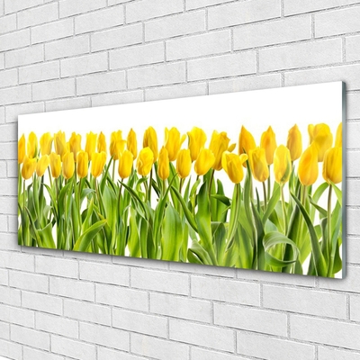 Glass Wall Art Tulips floral yellow green