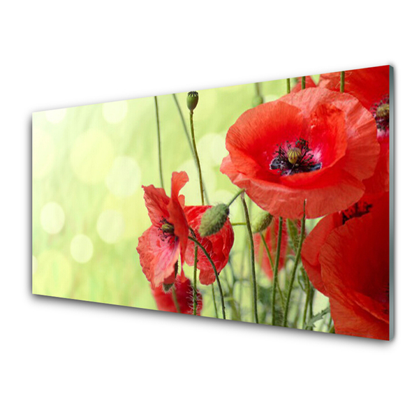 Glass Wall Art Poppies floral green red