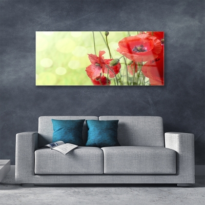 Glass Wall Art Poppies floral green red