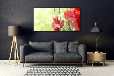 Glass Wall Art Poppies floral green red