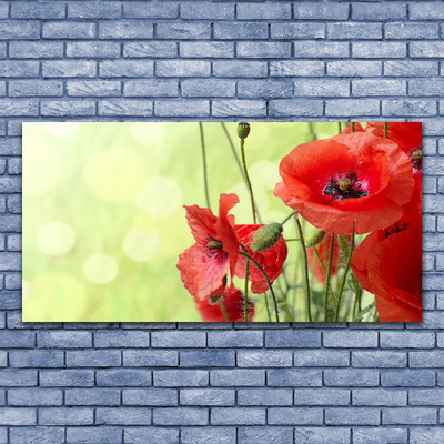 Glass Wall Art Poppies floral green red