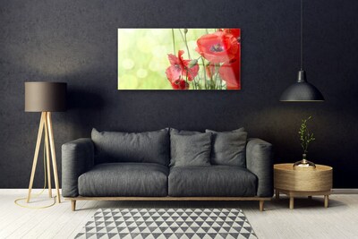 Glass Wall Art Poppies floral green red