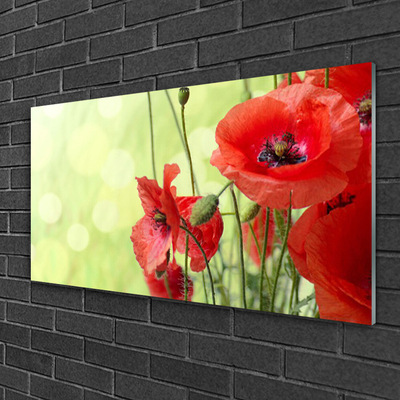 Glass Wall Art Poppies floral green red