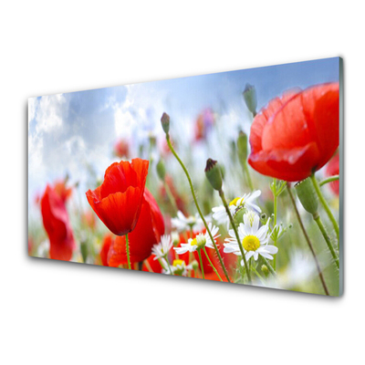 Glass Wall Art Poppies daisies floral red yellow white